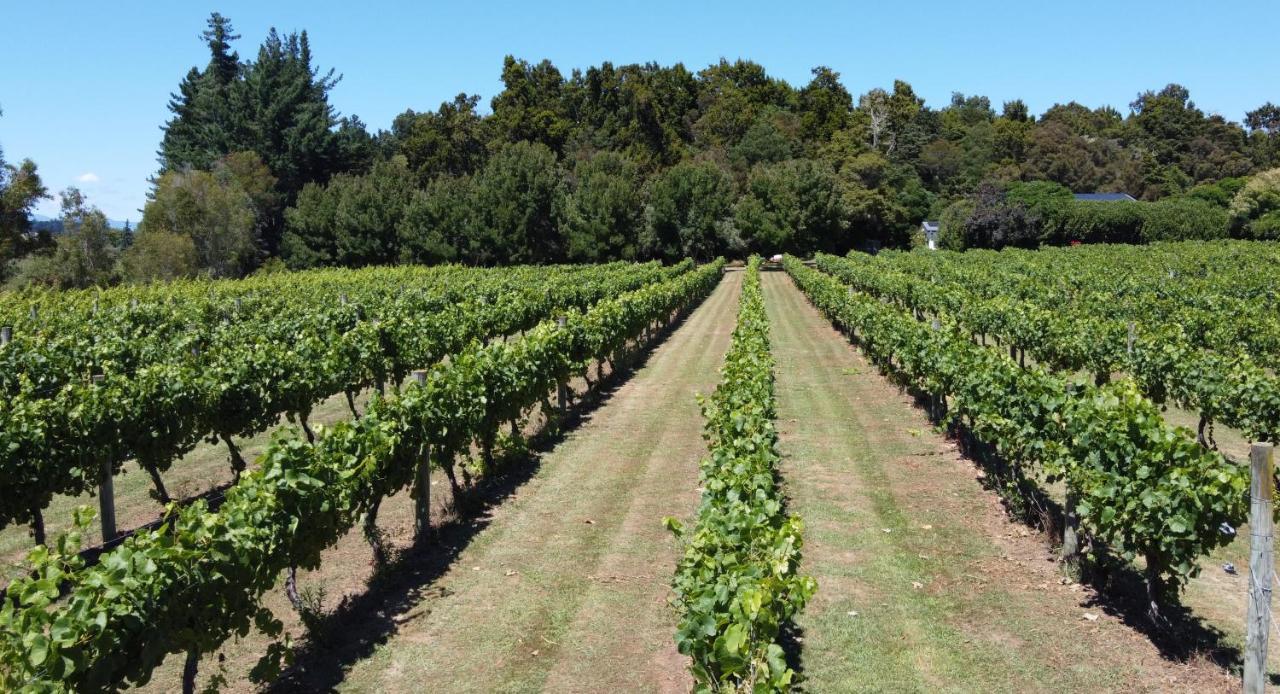 Pirita Vineyard Cottage. Upper Moutere Exterior photo
